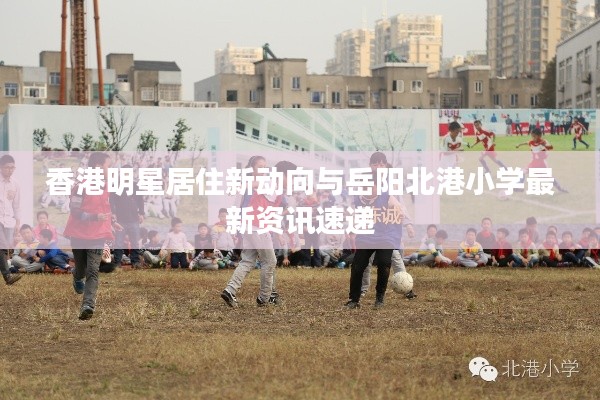 香港明星居住新动向与岳阳北港小学最新资讯速递
