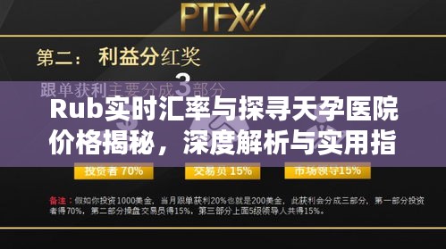 Rub实时汇率与探寻天孕医院价格揭秘,深度解析与实用指南