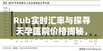 Rub实时汇率与探寻天孕医院价格揭秘,深度解析与实用指南