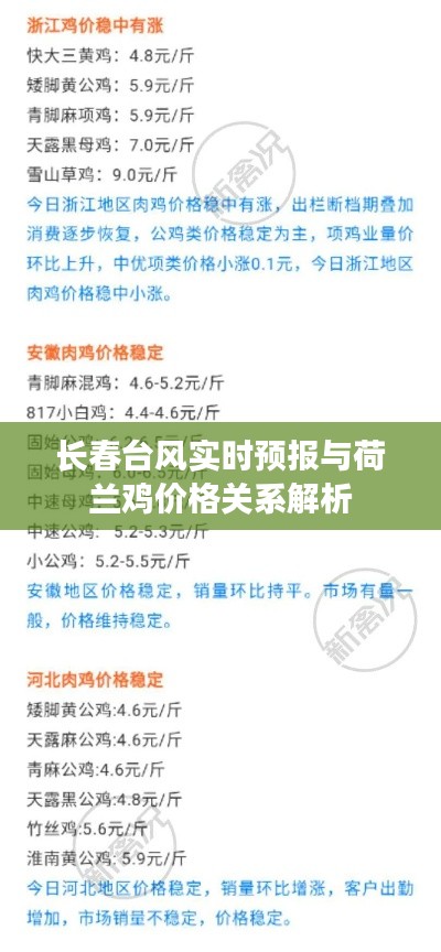 长春台风实时预报与荷兰鸡价格关系解析