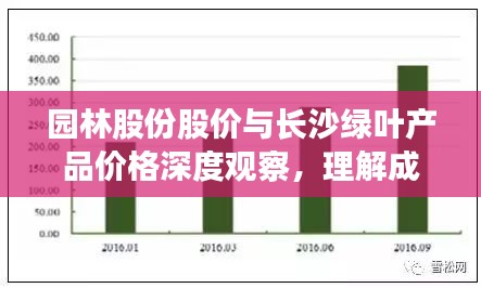 园林股份股价与长沙绿叶产品价格深度观察,理解成因与破局策略研究