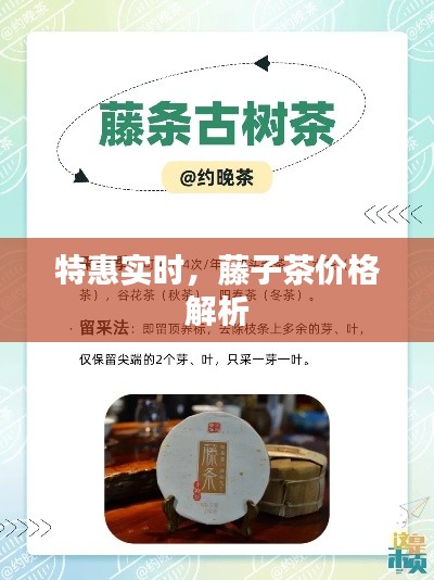 特惠实时,藤子茶价格解析