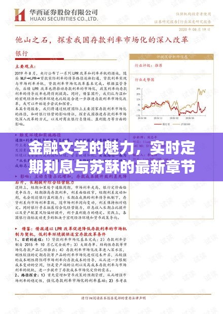 金融文学的魅力,实时定期利息与苏酥的最新章节探索