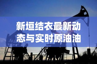 新垣结衣最新动态与实时原油油价交汇,娱乐与财经焦点热议。