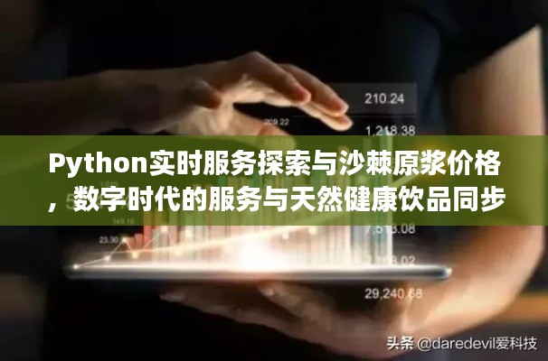 Python实时服务探索与沙棘原浆价格,数字时代的服务与天然健康饮品同步前行