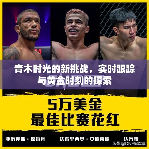 青木时光的新挑战,实时跟踪与黄金时刻的探索