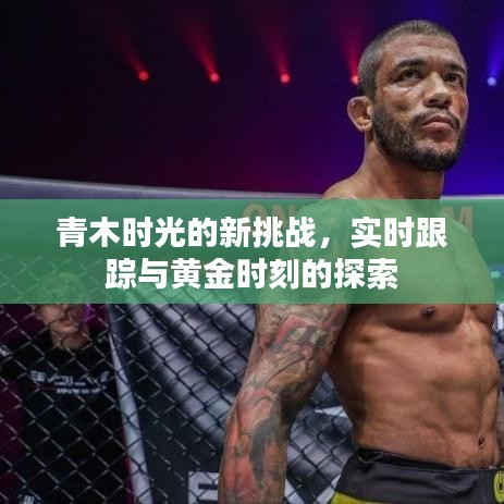 青木时光的新挑战,实时跟踪与黄金时刻的探索