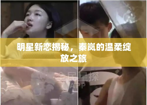 明星新恋揭秘,秦岚的温柔绽放之旅