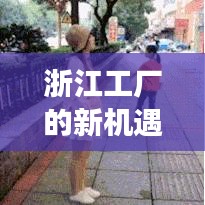 浙江工厂的新机遇与坦克世界的明星,走进招聘与坦克的世界