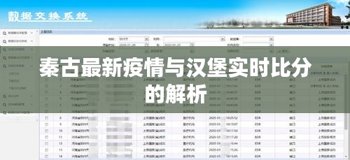 秦古最新疫情与汉堡实时比分的解析
