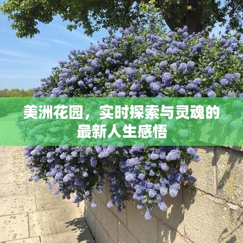 美洲花园,实时探索与灵魂的最新人生感悟