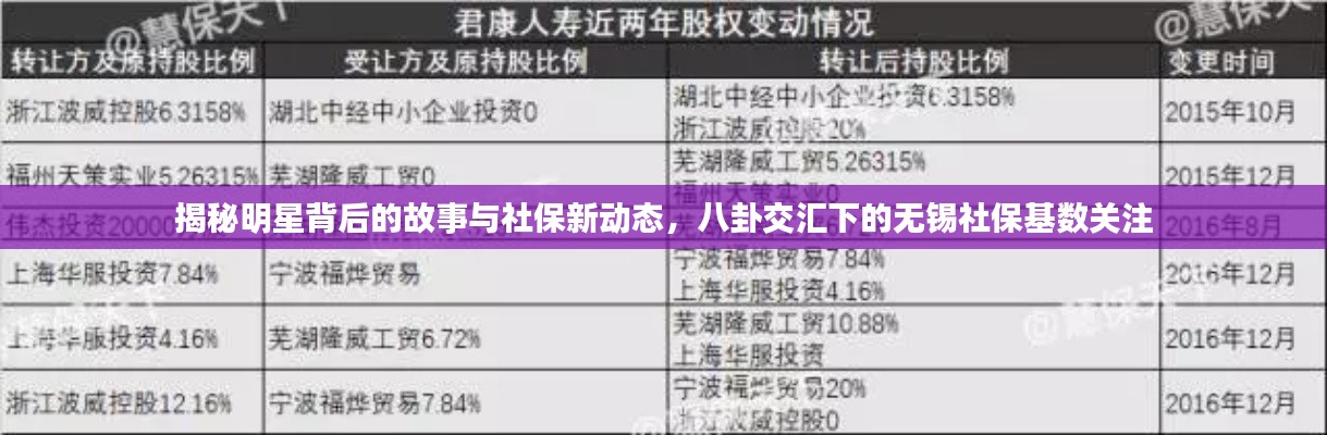 揭秘明星背后的故事与社保新动态,八卦交汇下的无锡社保基数关注