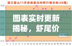 图表实时更新揭秘,虾尾价格走势背后的故事探秘!