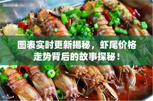 图表实时更新揭秘,虾尾价格走势背后的故事探秘!