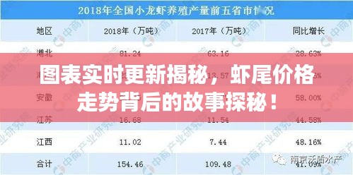 图表实时更新揭秘,虾尾价格走势背后的故事探秘!