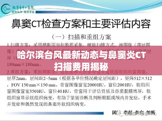 哈尔滨台风最新动态与鼻窦炎CT扫描费用揭秘