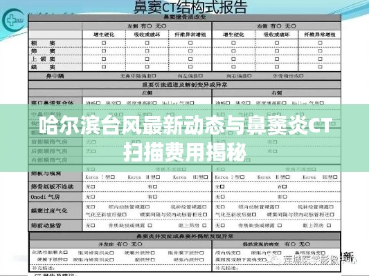 哈尔滨台风最新动态与鼻窦炎CT扫描费用揭秘