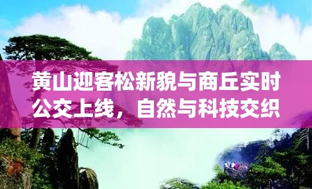 黄山迎客松新貌与商丘实时公交上线,自然与科技交织的新篇章