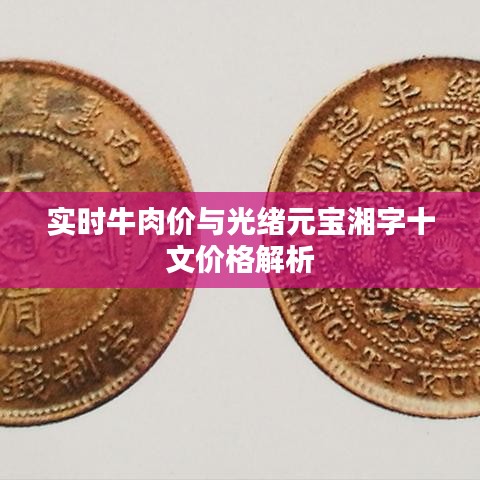 实时牛肉价与光绪元宝湘字十文价格解析