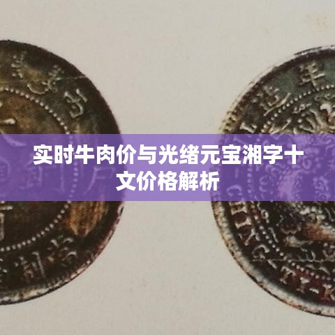 实时牛肉价与光绪元宝湘字十文价格解析