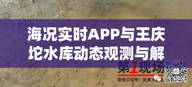 海况实时APP与王庆坨水库动态观测与解析报告