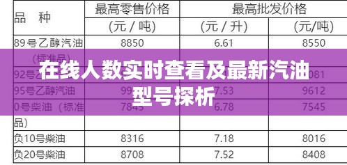 在线人数实时查看及最新汽油型号探析