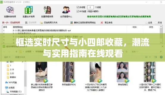 框选实时尺寸与小四郎收藏,潮流与实用指南在线观看