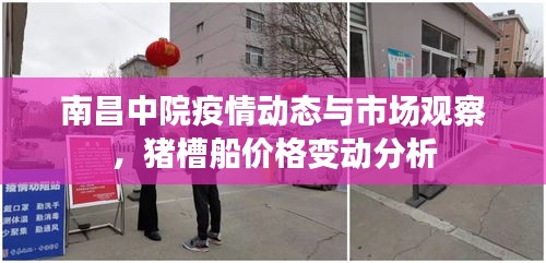 南昌中院疫情动态与市场观察,猪槽船价格变动分析
