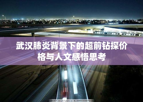 武汉肺炎背景下的超前钻探价格与人文感悟思考