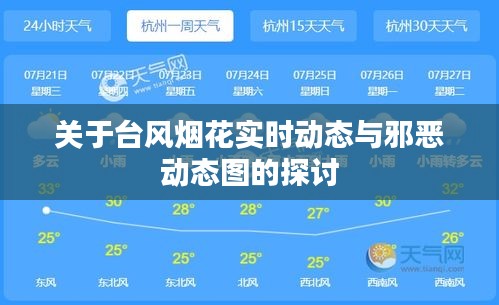 关于台风烟花实时动态与邪恶动态图的探讨