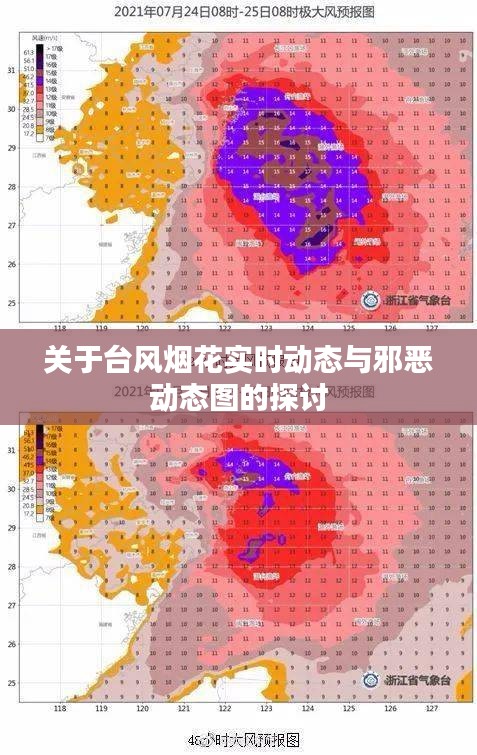 关于台风烟花实时动态与邪恶动态图的探讨