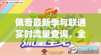 佩奇最新季与联通实时流量查询,全面解读与应用指南