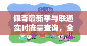 佩奇最新季与联通实时流量查询,全面解读与应用指南