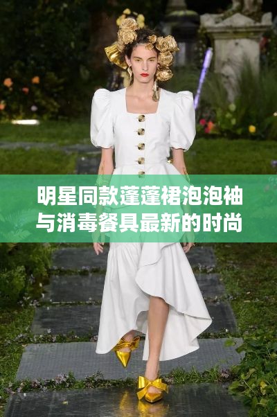 明星同款蓬蓬裙泡泡袖与消毒餐具最新的时尚解读与实用指南