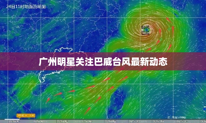 广州明星关注巴威台风最新动态