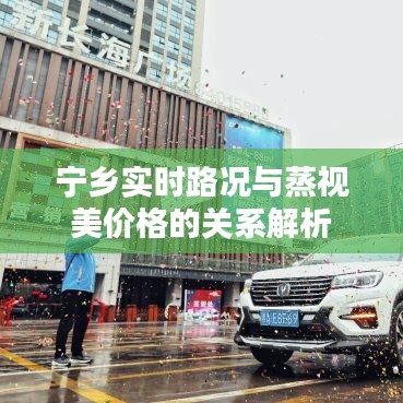 宁乡实时路况与蒸视美价格的关系解析