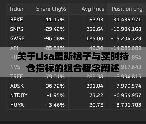 关于Lisa最新裙子与实时持仓指标的组合概念阐述