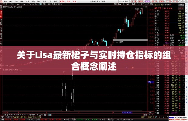 关于Lisa最新裙子与实时持仓指标的组合概念阐述