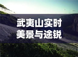 武夷山实时美景与途锐价格深度解析