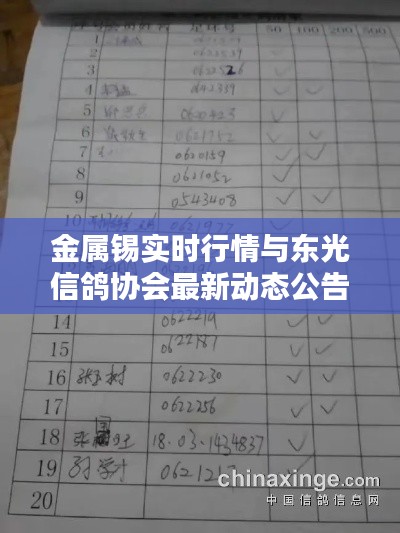 金属锡实时行情与东光信鸽协会最新动态公告