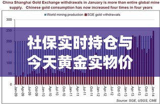 社保实时持仓与今天黄金实物价格深度剖析