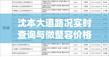 沈本大道路况实时查询与微整容价格概览