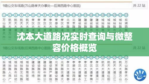 沈本大道路况实时查询与微整容价格概览