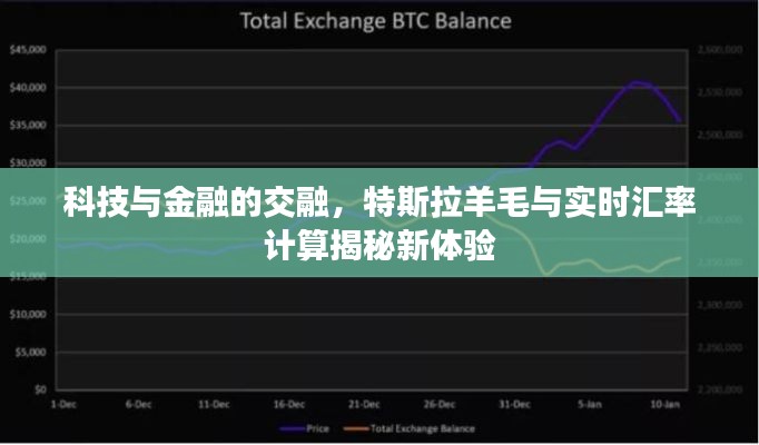 科技与金融的交融,特斯拉羊毛与实时汇率计算揭秘新体验