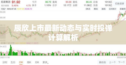 辰欣上市最新动态与实时投弹计算解析