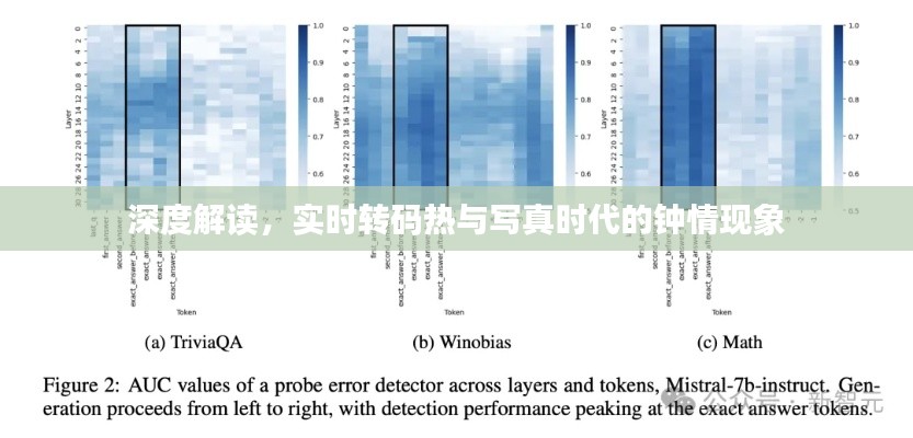深度解读,实时转码热与写真时代的钟情现象