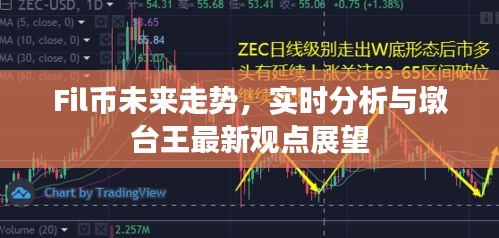 Fil币未来走势,实时分析与墩台王最新观点展望