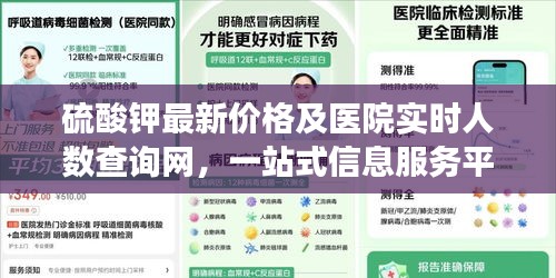 硫酸钾最新价格及医院实时人数查询网,一站式信息服务平台崭露头角亮相