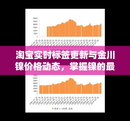 淘宝实时标签更新与金川镍价格动态,掌握镍的最新资讯