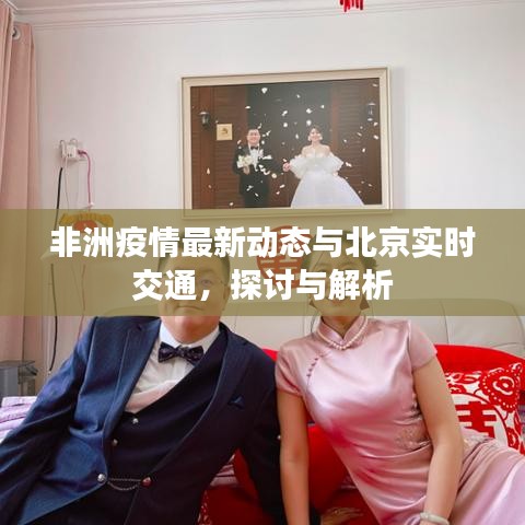 非洲疫情最新动态与北京实时交通,探讨与解析